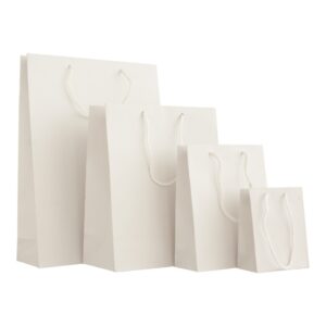 (10 X 100) S2 CARRIER BAGS