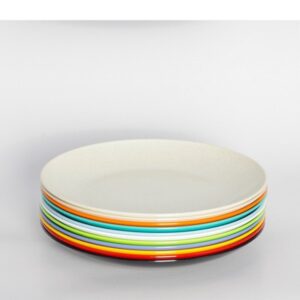 (10 X 50) 10″ PLASTIC PLATES